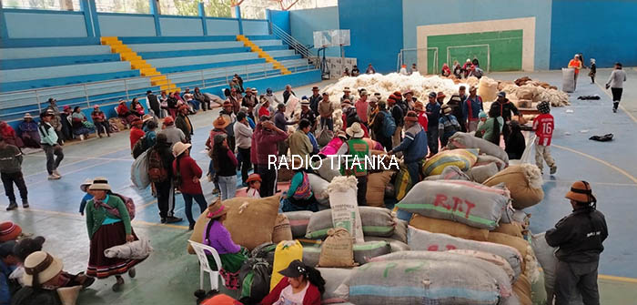 SPAR Totora Oropesa comercializó más de 66 mil kilos de fibra de alpaca en éxitoso acopio 